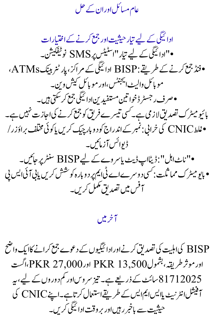 BISP 8171 CNIC Check for August 2025