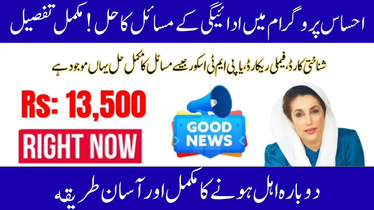 Solution for 8171 Ehsaas Program Payment Issues