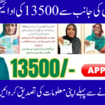 BISP 8171 Verification August 2025