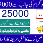 Ehsaas Program 25000 CNIC Check 2025
