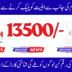 Ehsaas Program 8171 Online CNIC Check