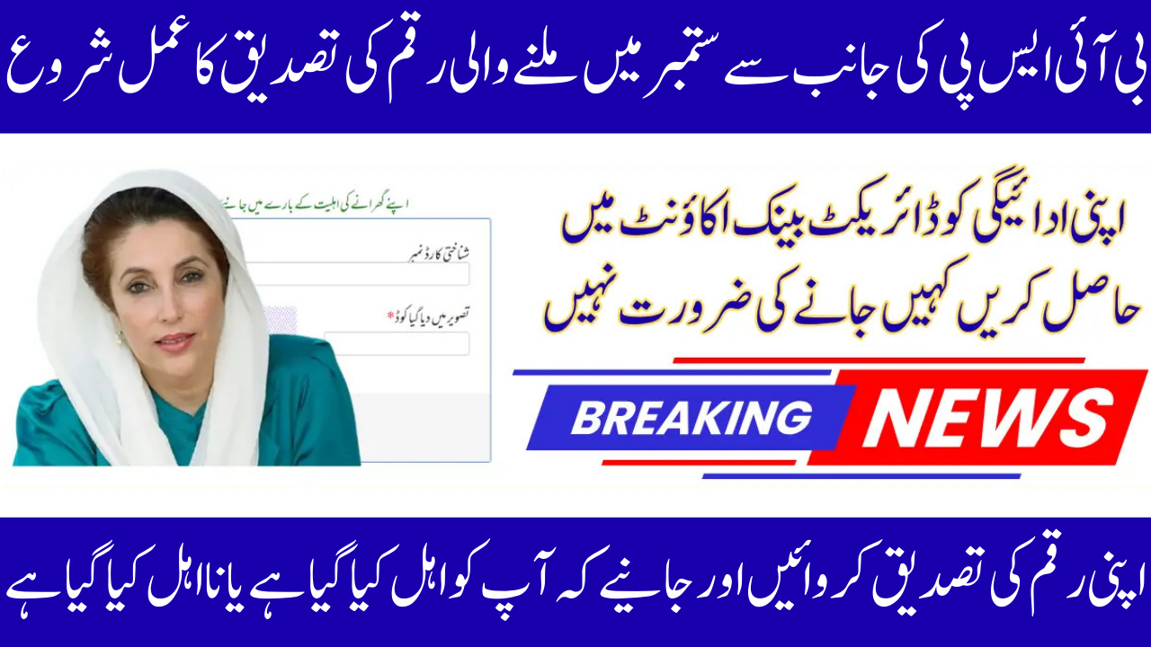 BISP Web Portal 8171 Check