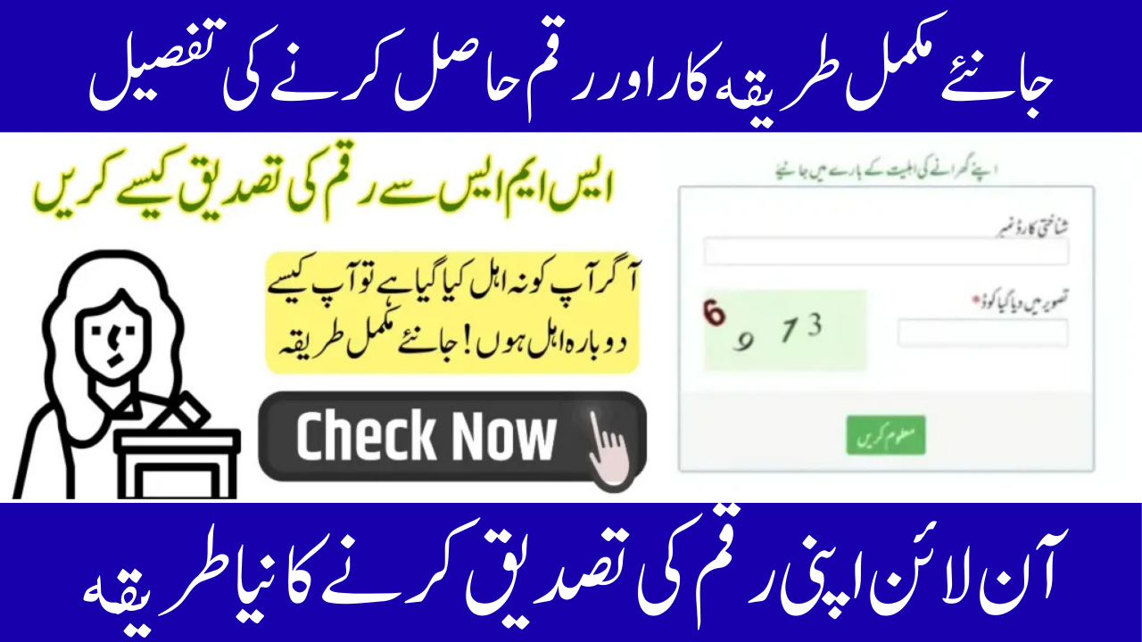 BISP Web Portal 8171 Check Payment