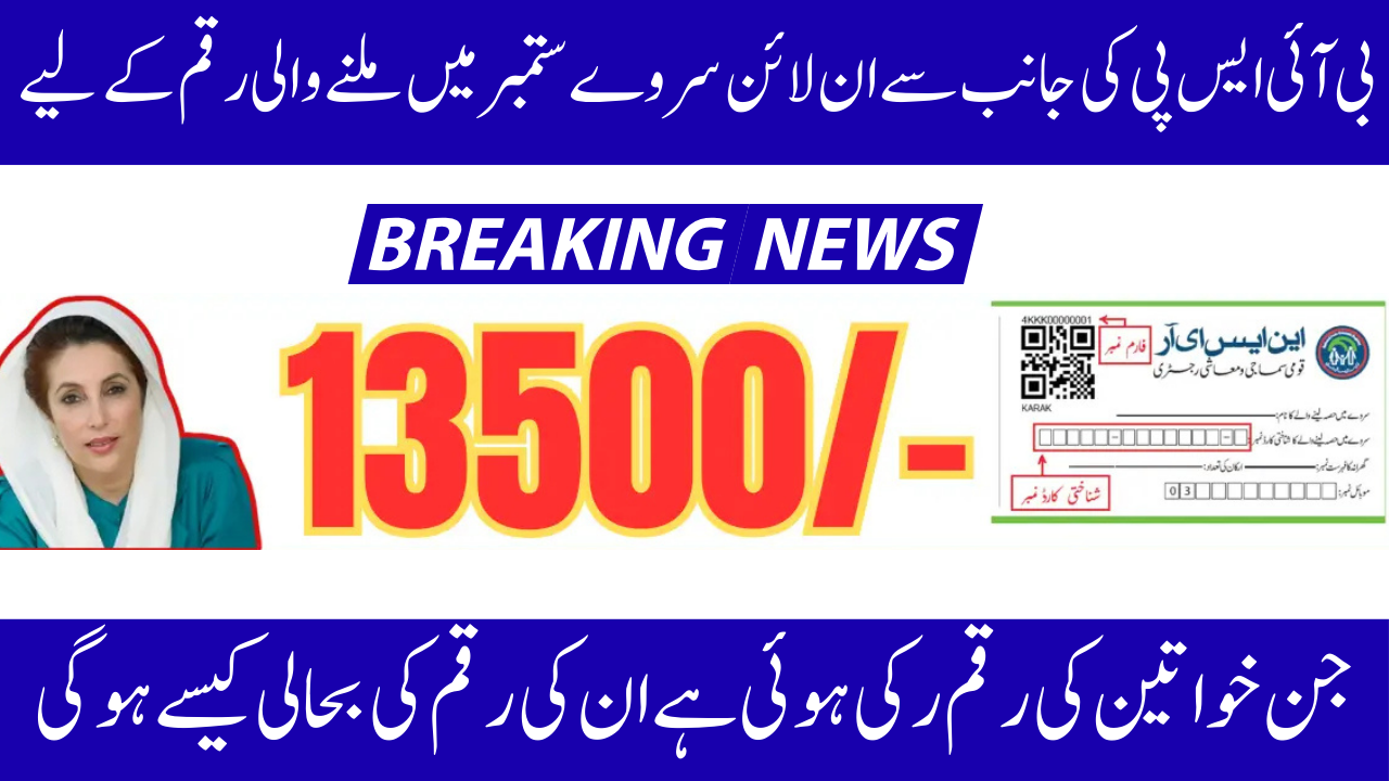 BISP Survey 2025 Payment Eligibility