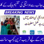 BISP 2025 New Payment