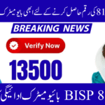 BISP 8171 Biometric Payment System