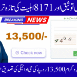 8171 Check Online CNIC Latest Method to Confirm Eligibility (Complete 2025 Guide)