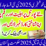 BISP Validation 2025: Simple Guide to Check Eligibility and Payment Status Online